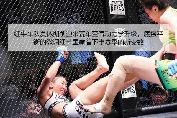 红牛车队夏休期前迎来赛车空气动力学升级，底盘平衡的微调细节里藏着下半赛季的新变数 | Aiyouxi